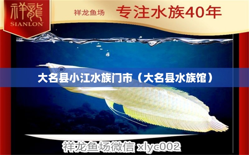 大名縣小江水族門市（大名縣水族館） 全國(guó)水族館企業(yè)名錄