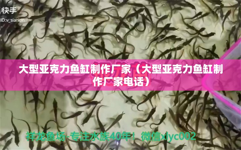 大型亞克力魚(yú)缸制作廠家（大型亞克力魚(yú)缸制作廠家電話）