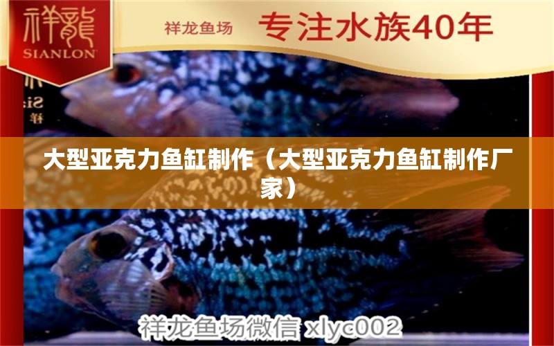 大型亞克力魚缸制作（大型亞克力魚缸制作廠家） 其他品牌魚缸