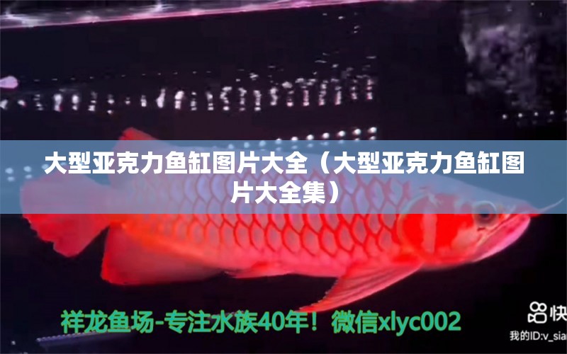 大型亞克力魚缸圖片大全（大型亞克力魚缸圖片大全集） 紅勾銀版魚