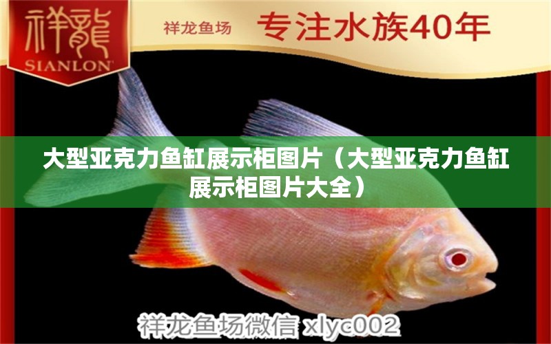 大型亞克力魚缸展示柜圖片（大型亞克力魚缸展示柜圖片大全） 其他品牌魚缸