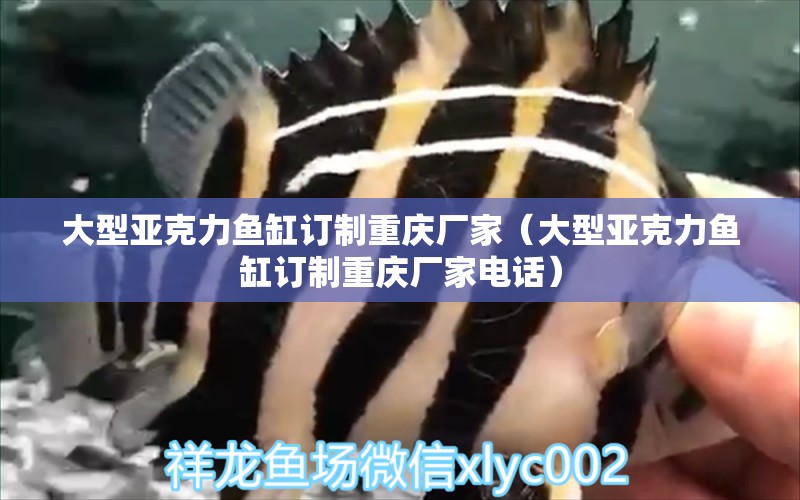 大型亞克力魚缸訂制重慶廠家（大型亞克力魚缸訂制重慶廠家電話）