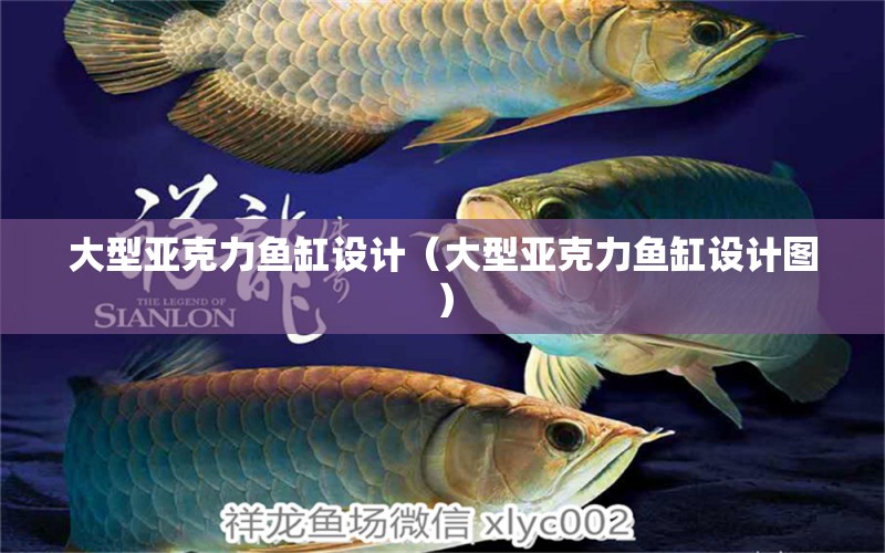 大型亞克力魚缸設(shè)計（大型亞克力魚缸設(shè)計圖） 其他品牌魚缸