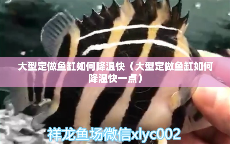 大型定做魚(yú)缸如何降溫快（大型定做魚(yú)缸如何降溫快一點(diǎn)）