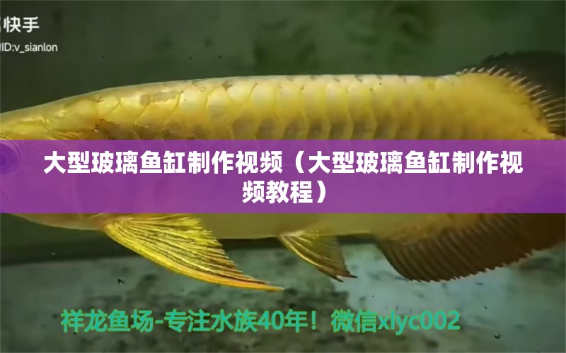 大型玻璃魚(yú)缸制作視頻（大型玻璃魚(yú)缸制作視頻教程） 其他品牌魚(yú)缸