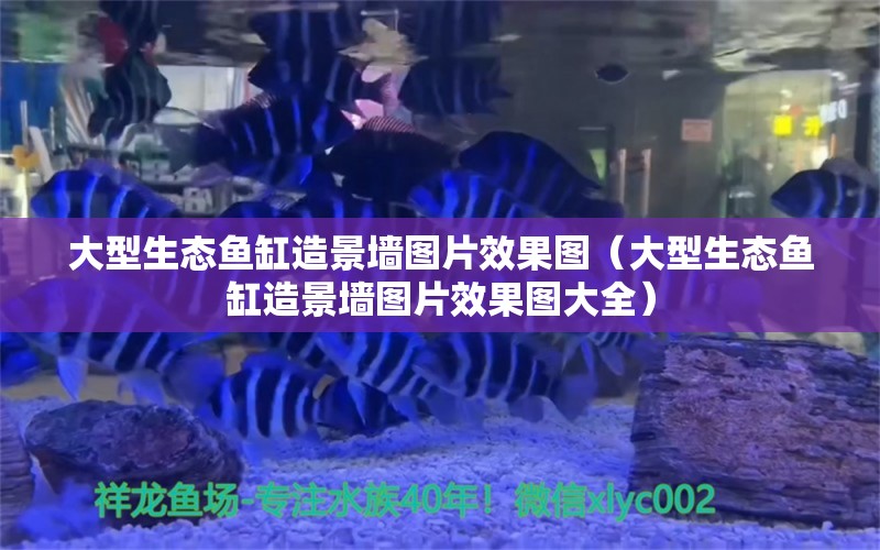 大型生態(tài)魚缸造景墻圖片效果圖（大型生態(tài)魚缸造景墻圖片效果圖大全）