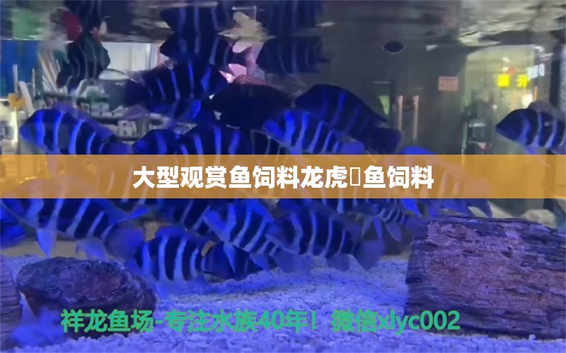 大型觀賞魚(yú)飼料龍虎魟魚(yú)飼料 虎魚(yú)百科 第1張