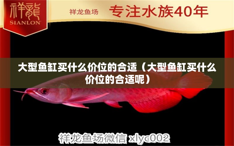 大型魚缸買什么價位的合適（大型魚缸買什么價位的合適呢）