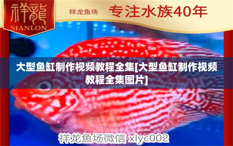 大型魚缸制作視頻教程全集[大型魚缸制作視頻教程全集圖片] 金龍福龍魚 第1張