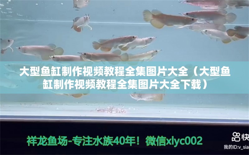 大型魚(yú)缸制作視頻教程全集圖片大全（大型魚(yú)缸制作視頻教程全集圖片大全下載） 其他品牌魚(yú)缸