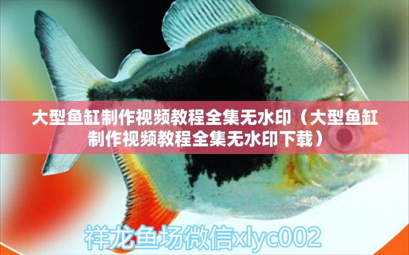 大型魚缸制作視頻教程全集無水?。ù笮汪~缸制作視頻教程全集無水印下載）