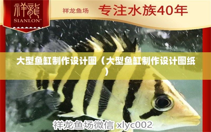 大型魚缸制作設(shè)計圖（大型魚缸制作設(shè)計圖紙）