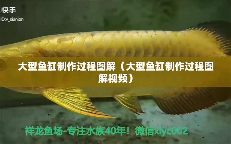 大型魚缸制作過程圖解（大型魚缸制作過程圖解視頻）