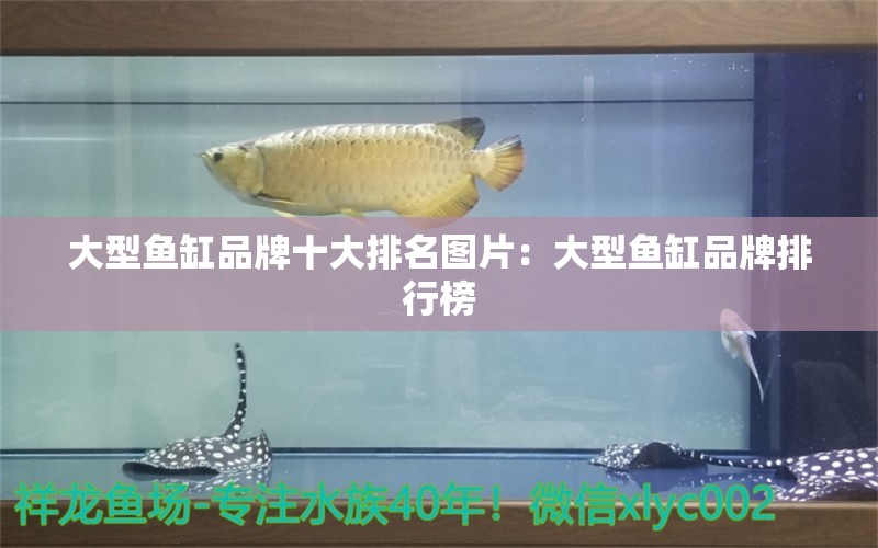 大型魚缸品牌十大排名圖片：大型魚缸品牌排行榜