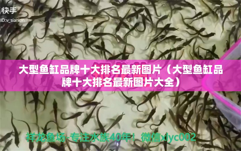 大型魚缸品牌十大排名最新圖片（大型魚缸品牌十大排名最新圖片大全） iwish愛唯希品牌魚缸