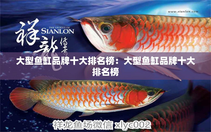 大型魚缸品牌十大排名榜：大型魚缸品牌十大排名榜 廣州龍魚批發(fā)市場(chǎng)