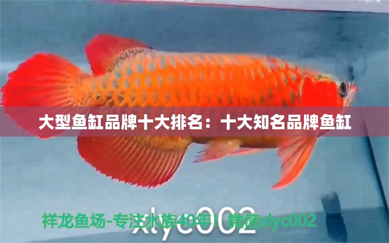 大型魚(yú)缸品牌十大排名：十大知名品牌魚(yú)缸