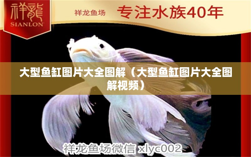 大型魚缸圖片大全圖解（大型魚缸圖片大全圖解視頻） 其他品牌魚缸