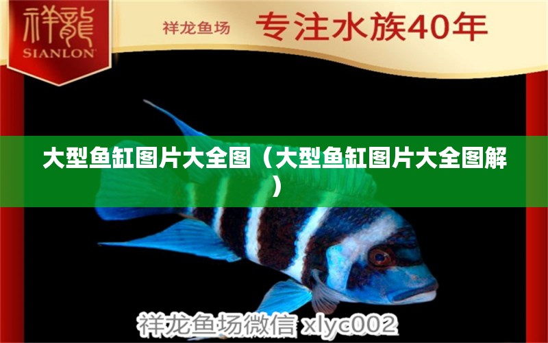 大型魚缸圖片大全圖（大型魚缸圖片大全圖解） iwish愛唯希品牌魚缸