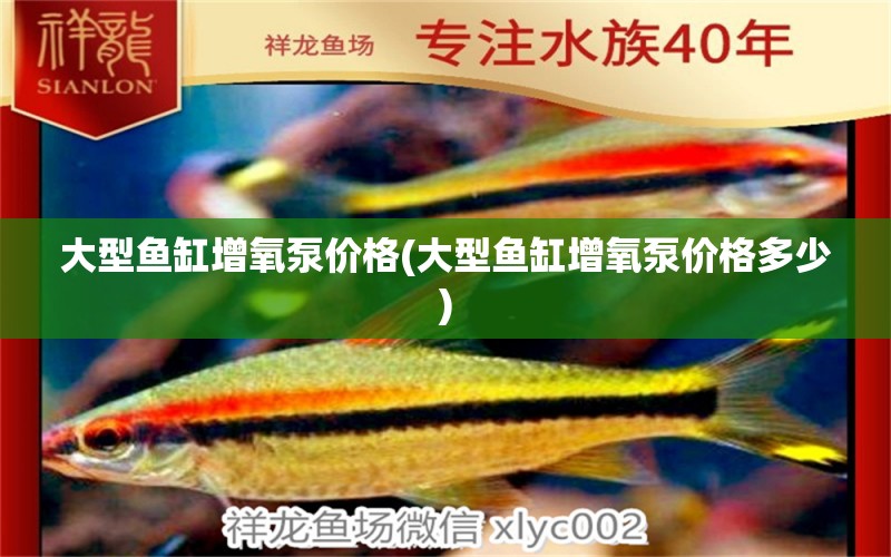 大型魚缸增氧泵價格(大型魚缸增氧泵價格多少) 白玉紅龍魚