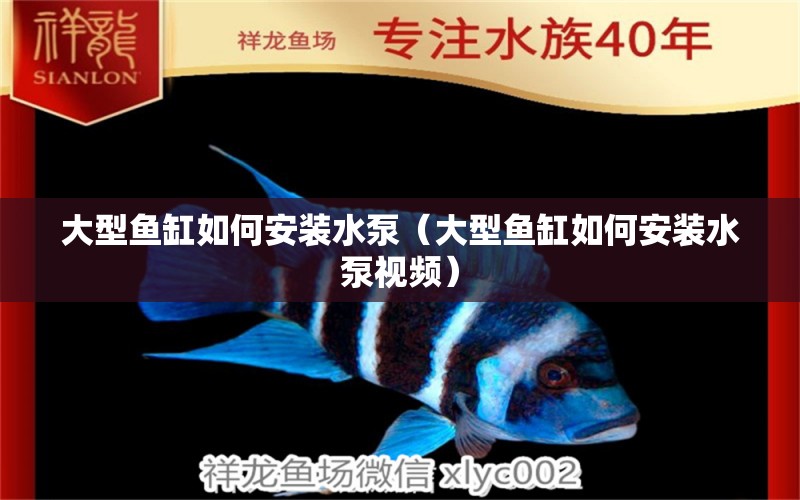 大型魚缸如何安裝水泵（大型魚缸如何安裝水泵視頻）