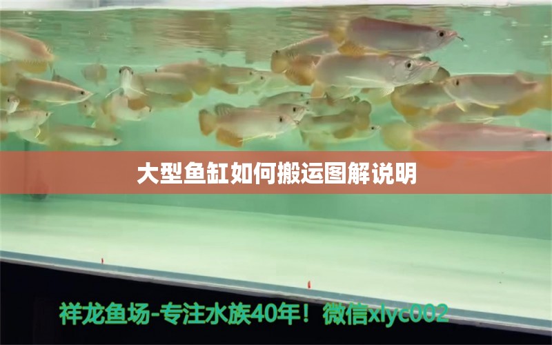 大型魚缸如何搬運(yùn)圖解說明 祥龍魚場