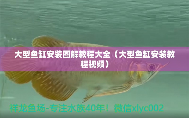 大型魚缸安裝圖解教程大全（大型魚缸安裝教程視頻） 博特水族 第1張