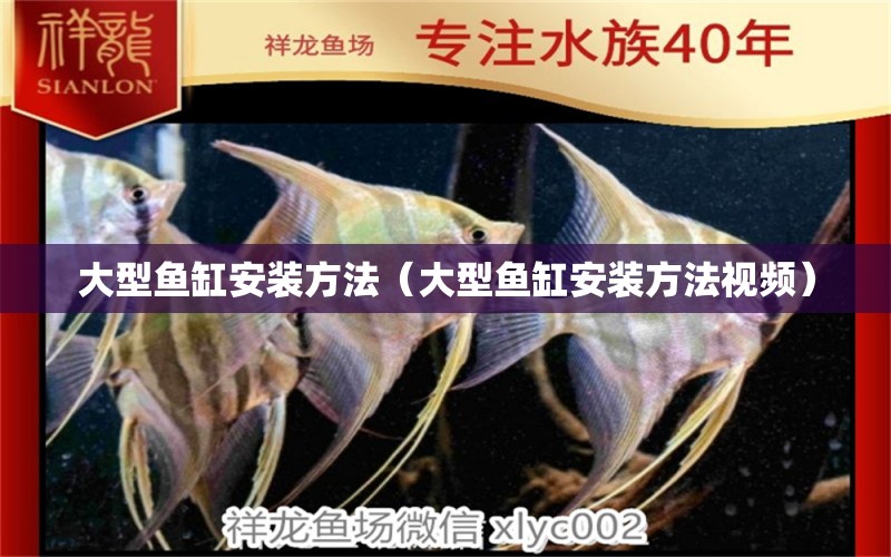 大型魚缸安裝方法（大型魚缸安裝方法視頻） 其他品牌魚缸