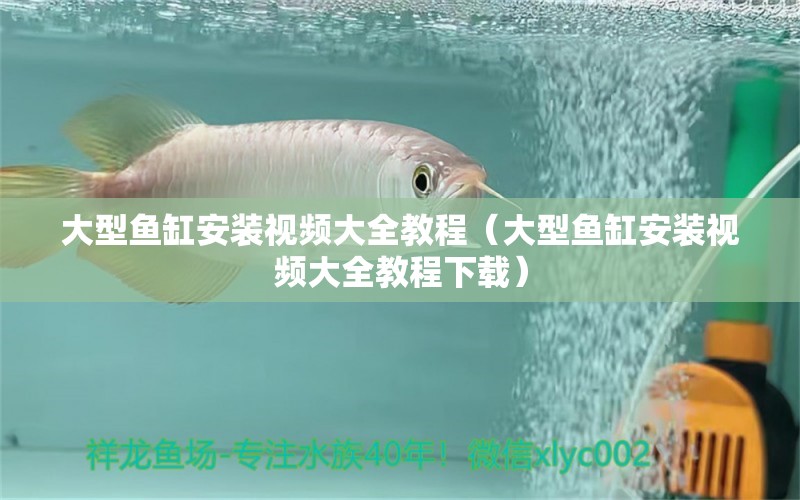 大型魚缸安裝視頻大全教程（大型魚缸安裝視頻大全教程下載）