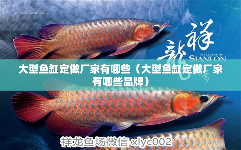 大型魚(yú)缸定做廠家有哪些（大型魚(yú)缸定做廠家有哪些品牌） 其他品牌魚(yú)缸