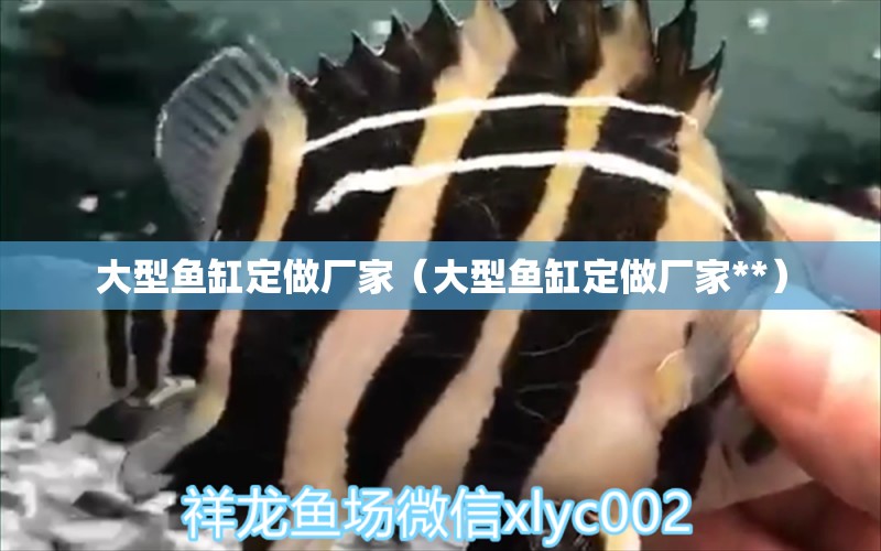 大型魚(yú)缸定做廠家（大型魚(yú)缸定做廠家**）