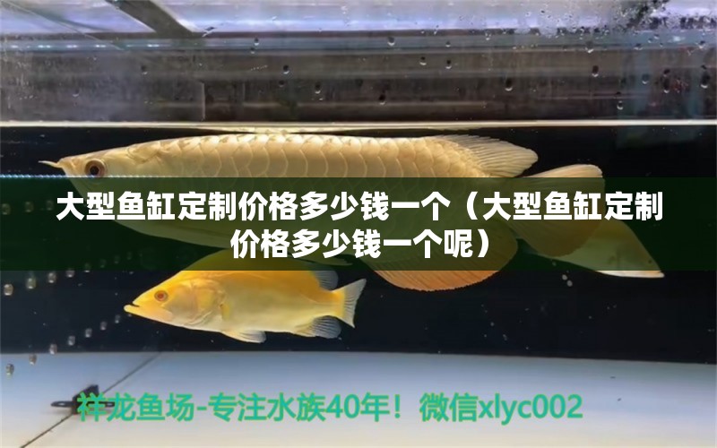 大型魚(yú)缸定制價(jià)格多少錢一個(gè)（大型魚(yú)缸定制價(jià)格多少錢一個(gè)呢） 祥龍水族醫(yī)院