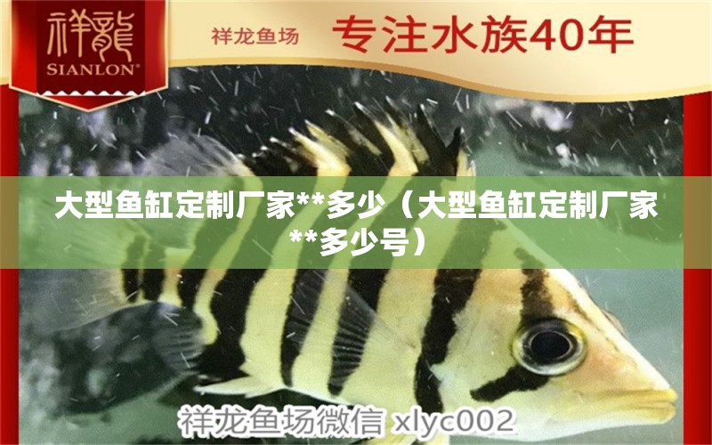 大型魚缸定制廠家**多少（大型魚缸定制廠家**多少號）