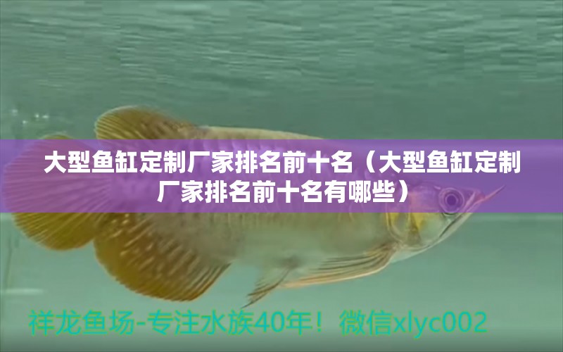 大型魚缸定制廠家排名前十名（大型魚缸定制廠家排名前十名有哪些）