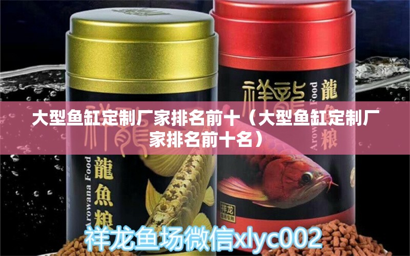 大型魚缸定制廠家排名前十（大型魚缸定制廠家排名前十名） 其他品牌魚缸