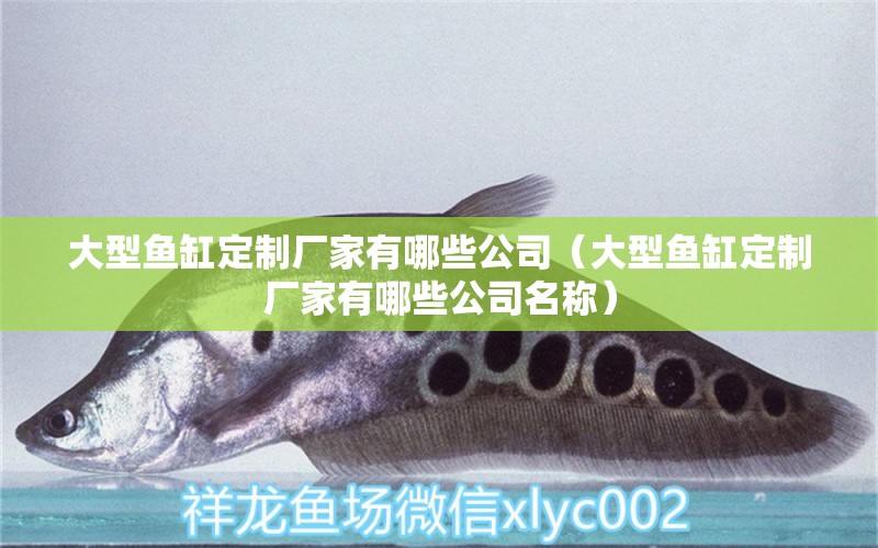 大型魚缸定制廠家有哪些公司（大型魚缸定制廠家有哪些公司名稱）