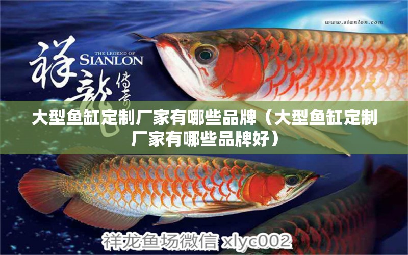 大型魚缸定制廠家有哪些品牌（大型魚缸定制廠家有哪些品牌好）