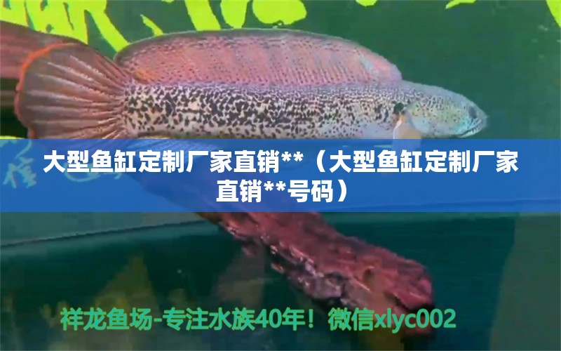 大型魚缸定制廠家直銷**（大型魚缸定制廠家直銷**號碼）