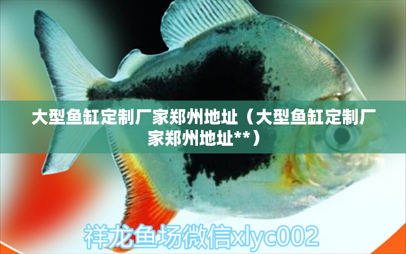 大型魚缸定制廠家鄭州地址（大型魚缸定制廠家鄭州地址**）