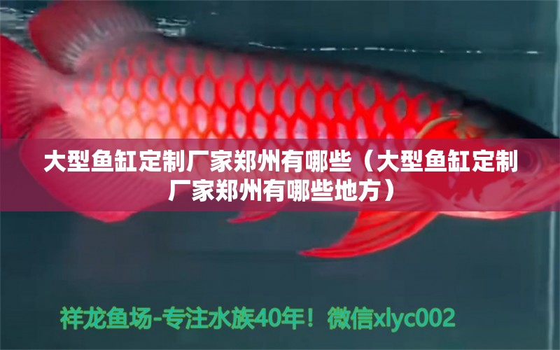 大型魚缸定制廠家鄭州有哪些（大型魚缸定制廠家鄭州有哪些地方）