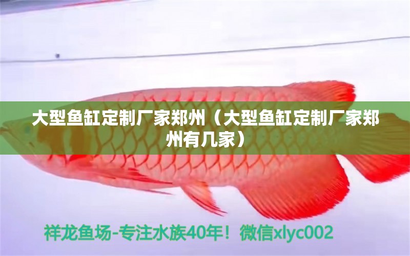 大型魚缸定制廠家鄭州（大型魚缸定制廠家鄭州有幾家） 其他品牌魚缸