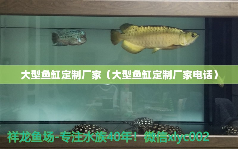 大型魚缸定制廠家（大型魚缸定制廠家電話）