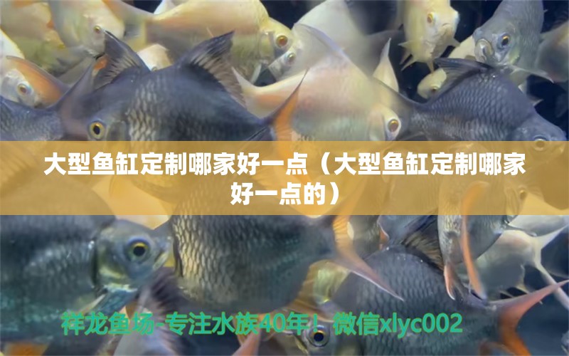 大型魚缸定制哪家好一點（大型魚缸定制哪家好一點的）