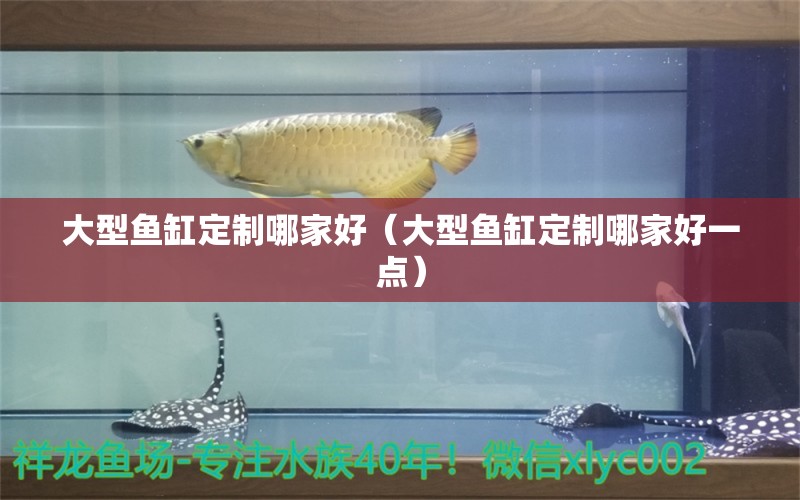 大型魚缸定制哪家好（大型魚缸定制哪家好一點(diǎn)） 檸檬鯽