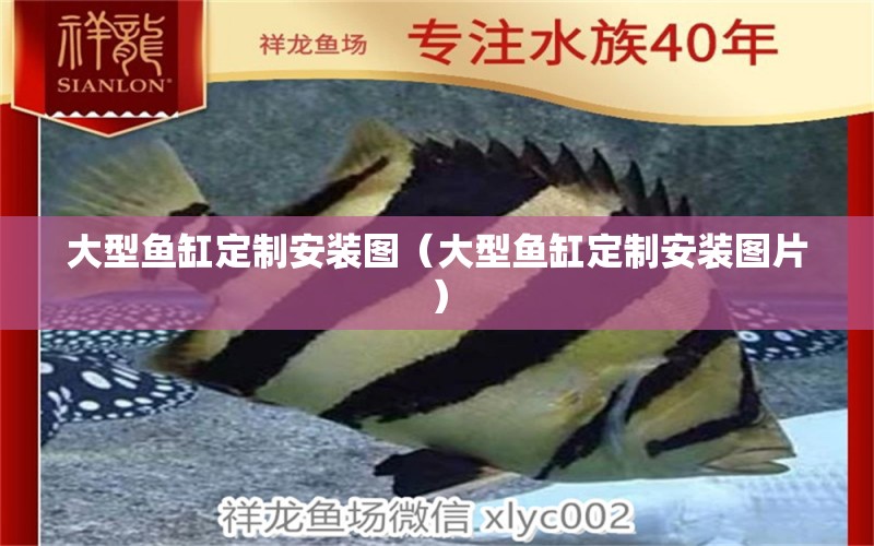 大型魚缸定制安裝圖（大型魚缸定制安裝圖片）