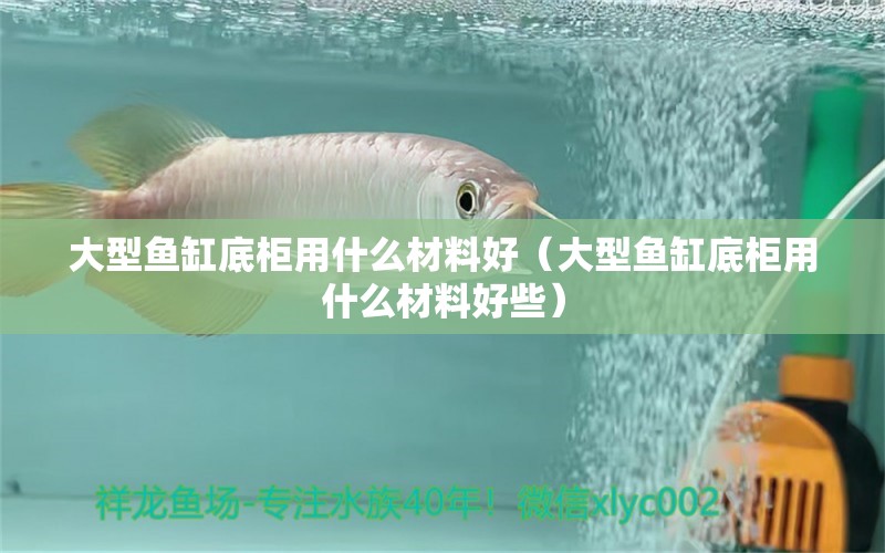 大型魚(yú)缸底柜用什么材料好（大型魚(yú)缸底柜用什么材料好些）