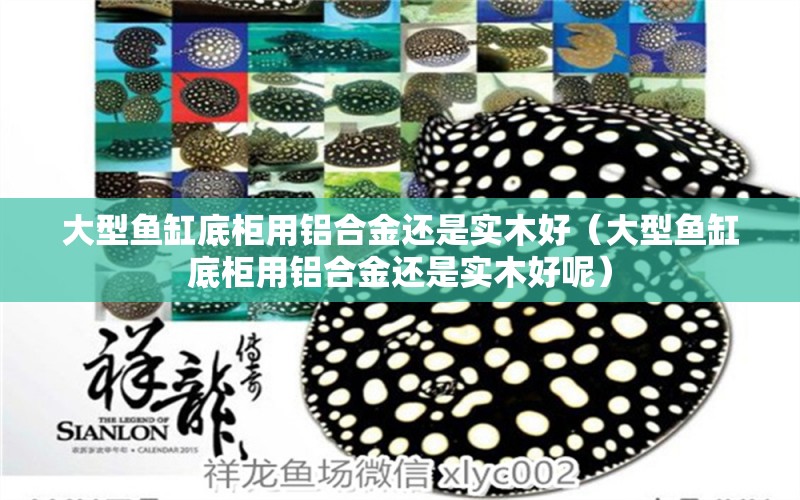 大型魚缸底柜用鋁合金還是實木好（大型魚缸底柜用鋁合金還是實木好呢）