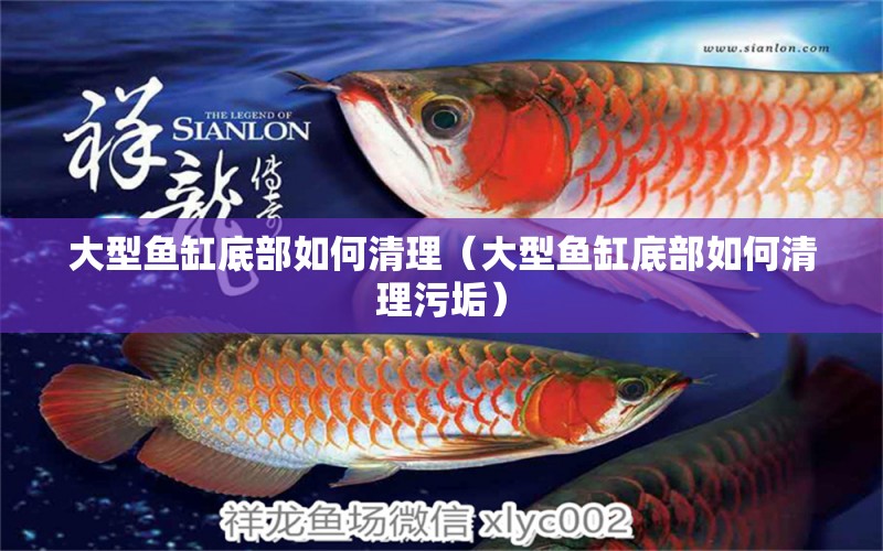 大型魚缸底部如何清理（大型魚缸底部如何清理污垢） 其他品牌魚缸