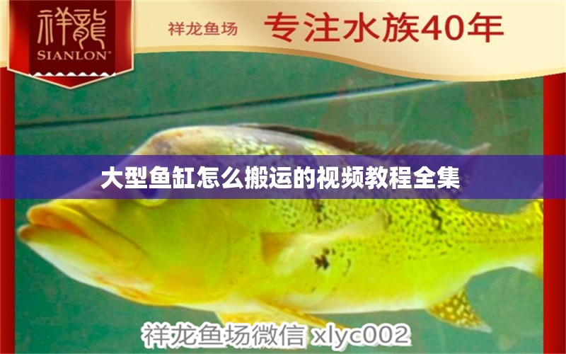 大型魚缸怎么搬運(yùn)的視頻教程全集 