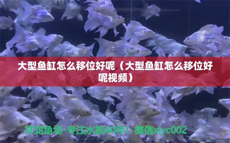 大型魚缸怎么移位好呢（大型魚缸怎么移位好呢視頻）